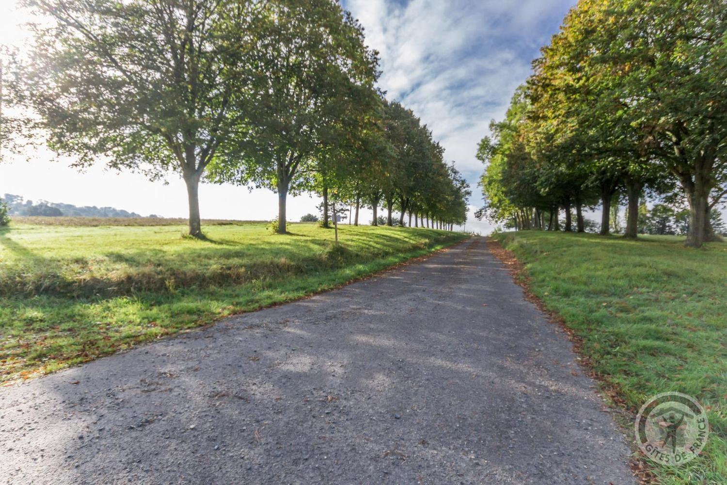 L'Atelier A L'Oree Des Bois Saint-Pierre-en-Auge Exteriér fotografie